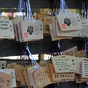 IMG 8657