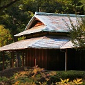 IMG 8867