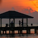 IMG 0272-1
