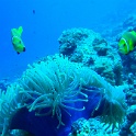 IMG 1273-1