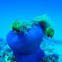 IMG 1282-1