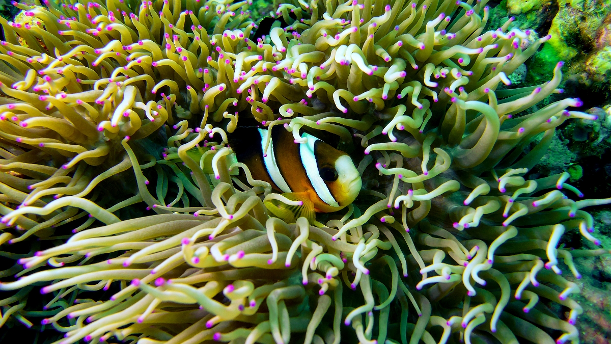 P1000195