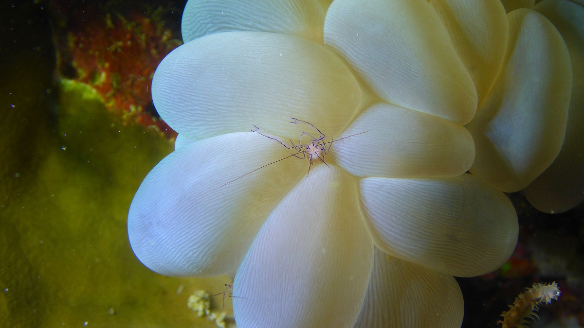 P1020784