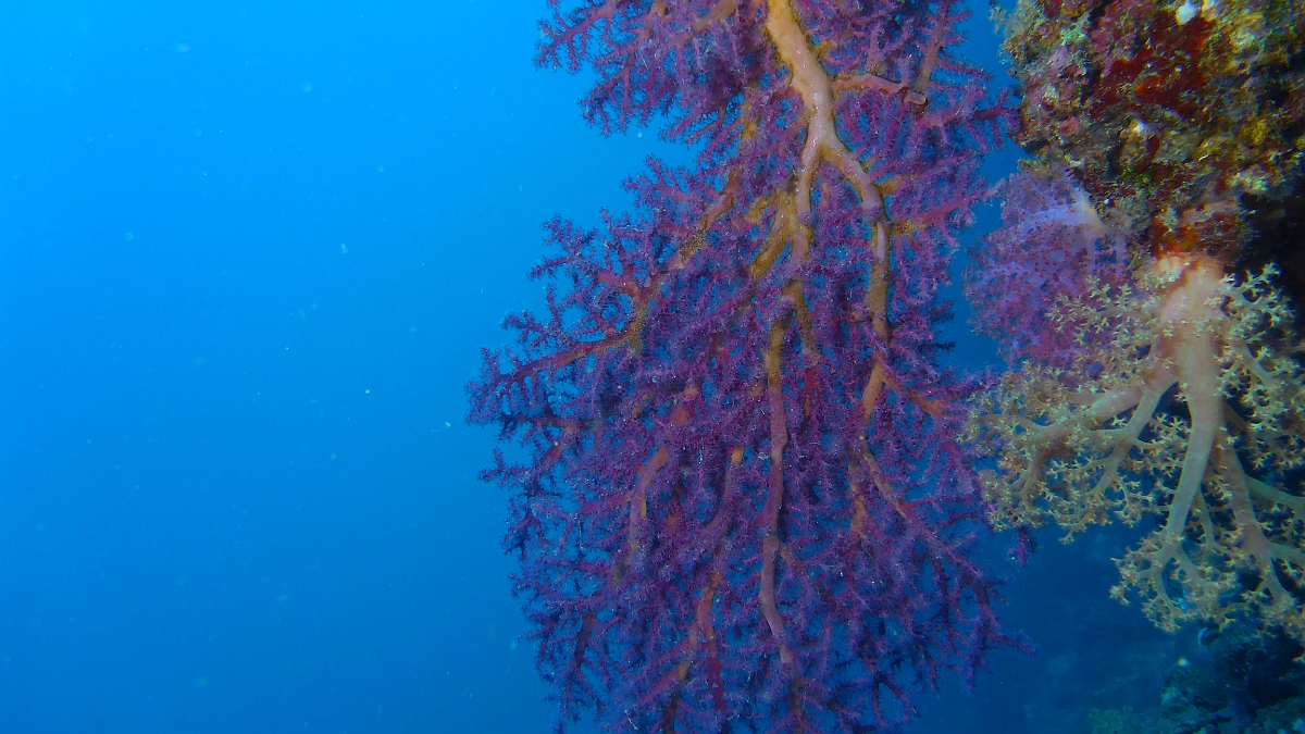 P1020855