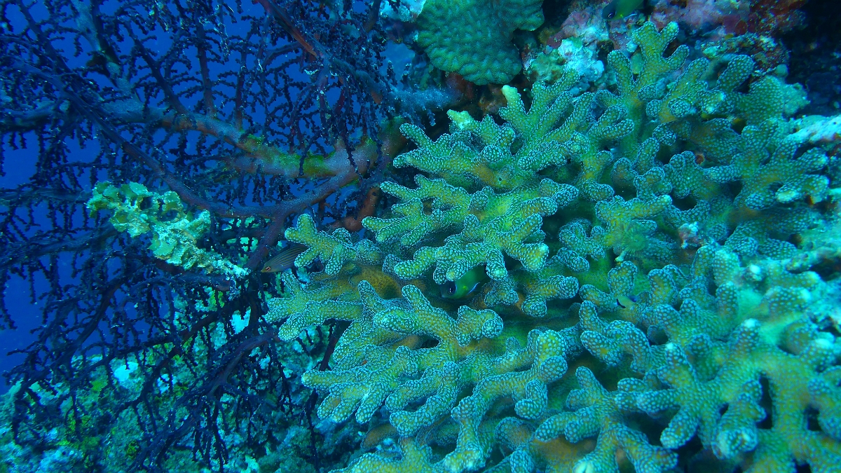 P1020928