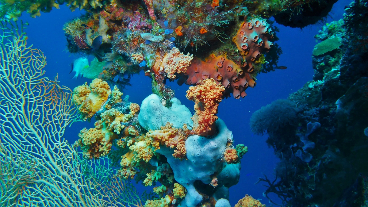 P1020945