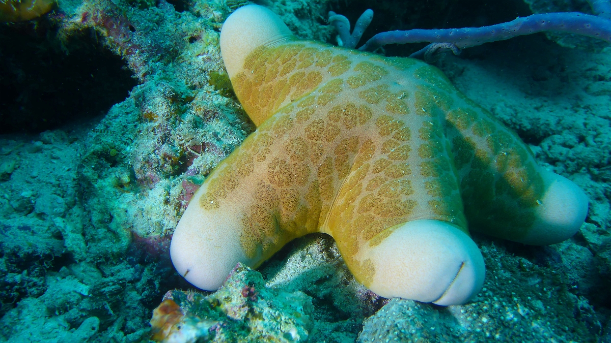 P1030183
