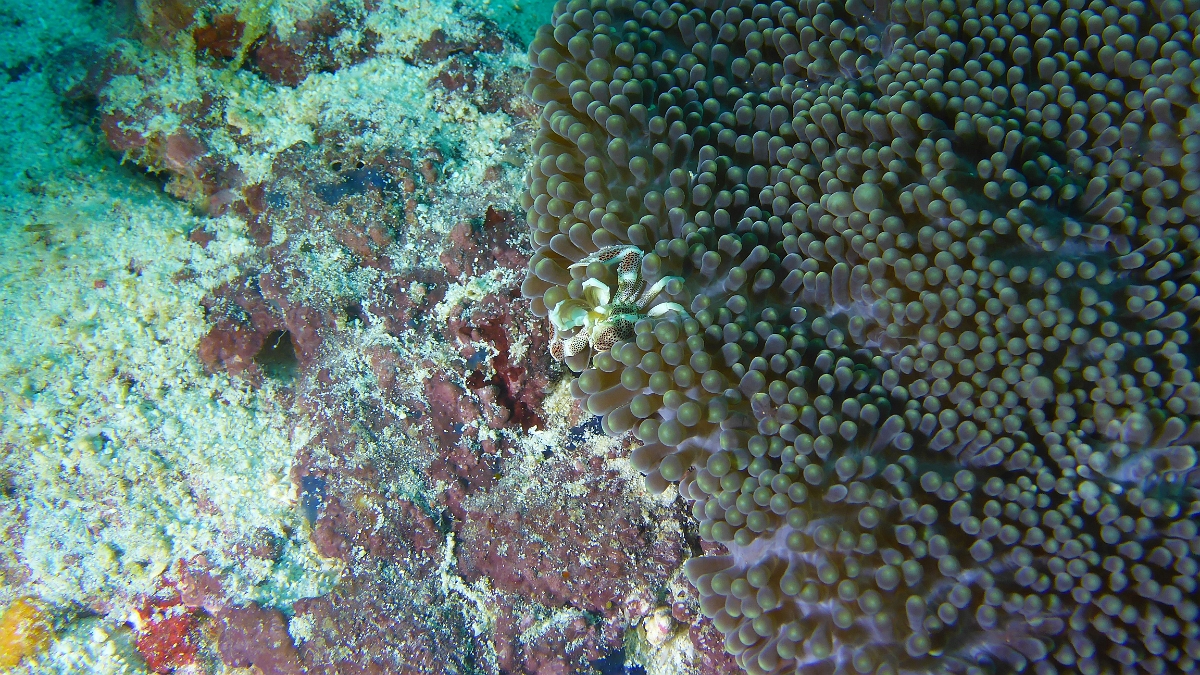 P1030213