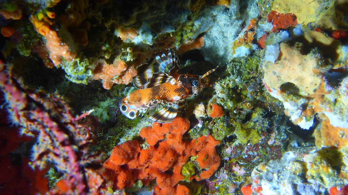 P1030272