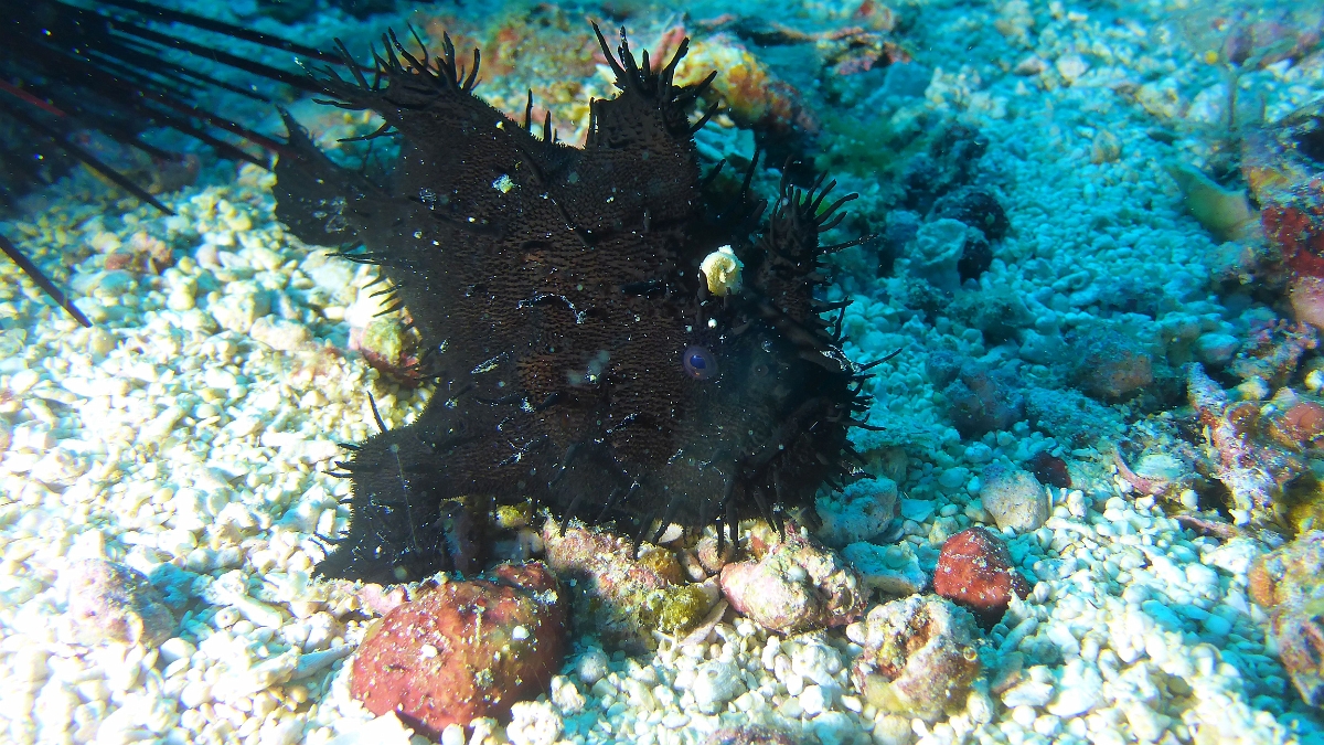 P1030358