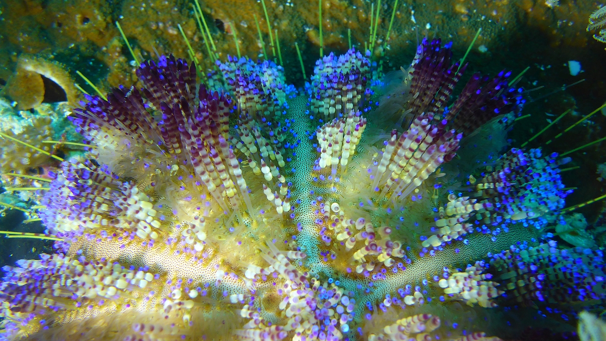 P1030369