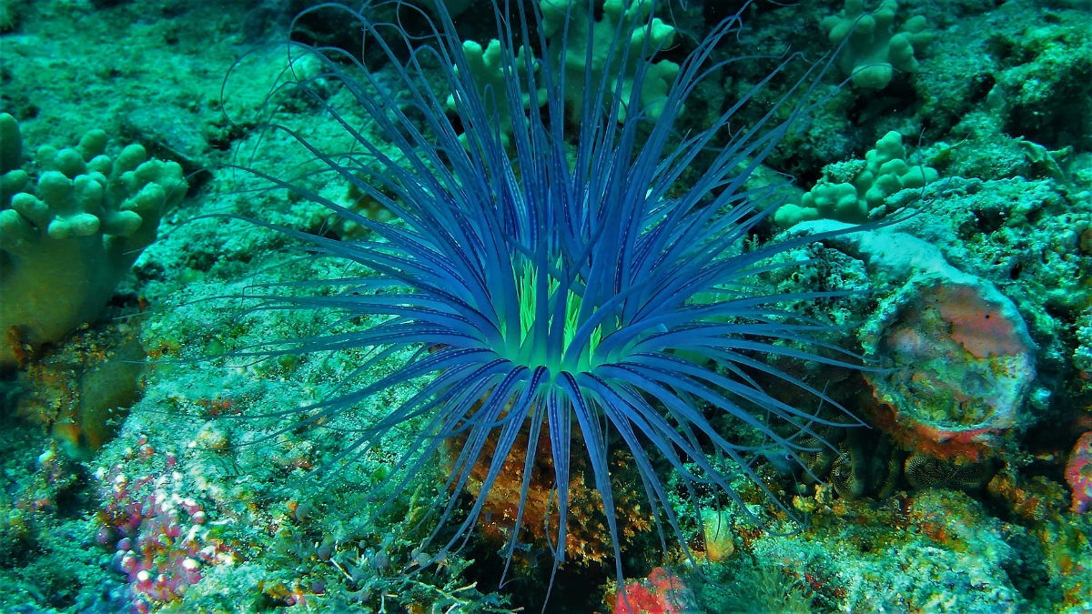 P1030424 (2)