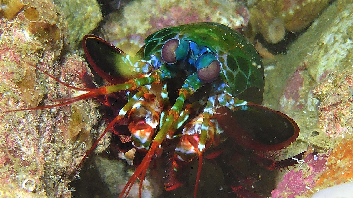 P1030523