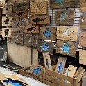 IMG 0972