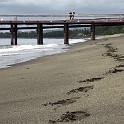 IMG 0994