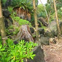 IMG 5141