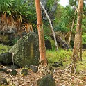 IMG 5143