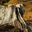 IMG 5188