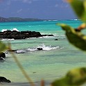 IMG 5582